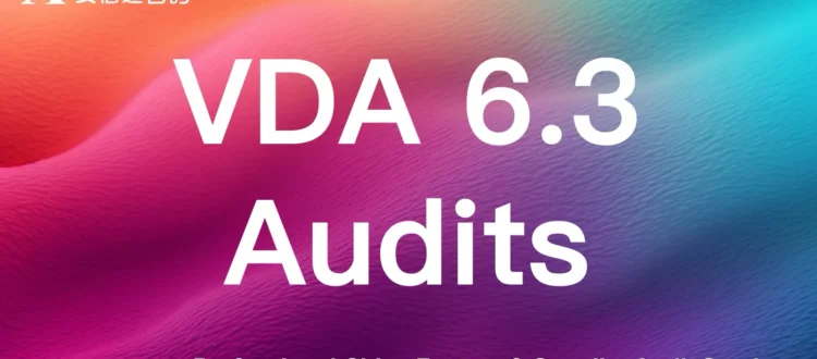 VDA6.3 process audit team inspecting automotive production line in China